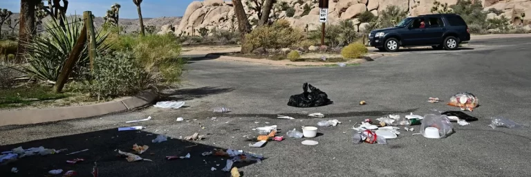 Microplastics Make Up Majority of National Park Trash, Waste Audit Finds